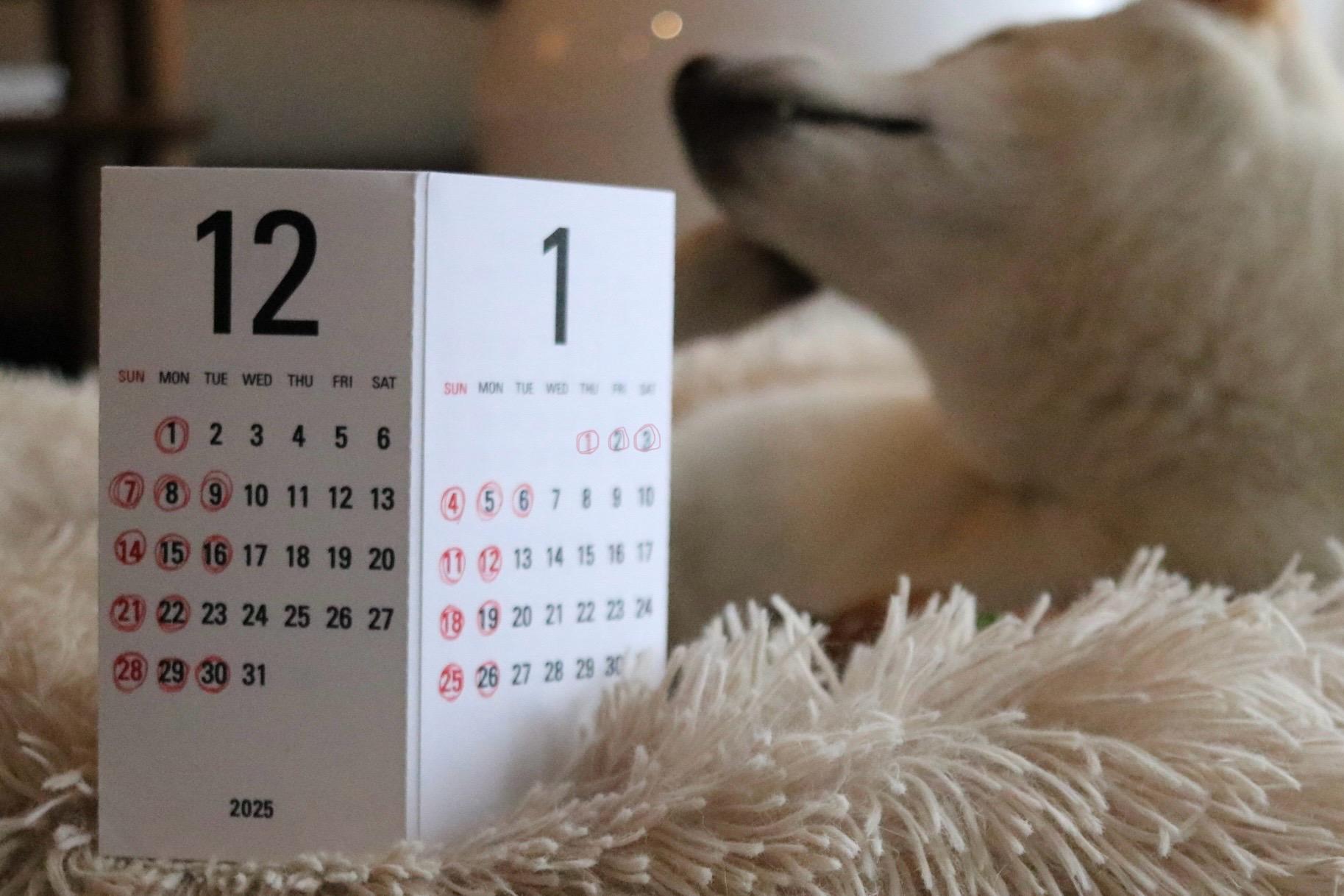 年末年始の営業案内